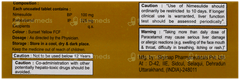 Biogesic P Tablet 10